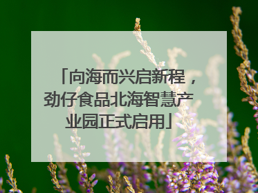 向海而兴启新程，劲仔食品北海智慧产业园正式启用
